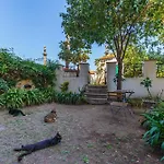 Romantic Place With Pines, Cats, Stunning View And Parking