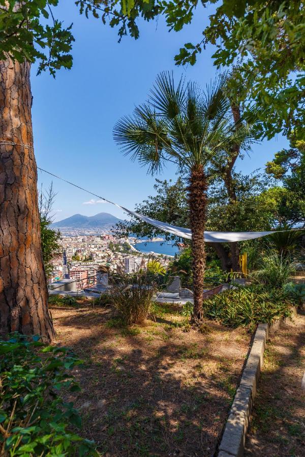 Apartment Romantic Place With Pines, Cats, Stunning View And Parking