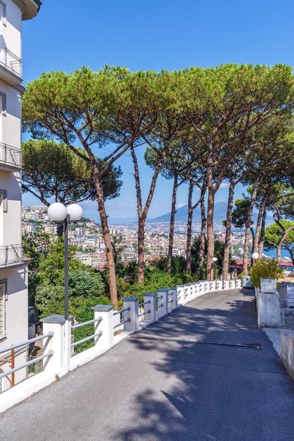 Apartment Romantic Place With Pines, Cats, Stunning View And Parking