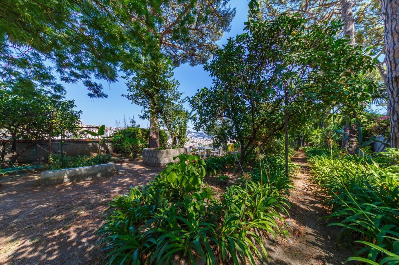 Apartment Romantic Place With Pines, Cats, Stunning View And Parking