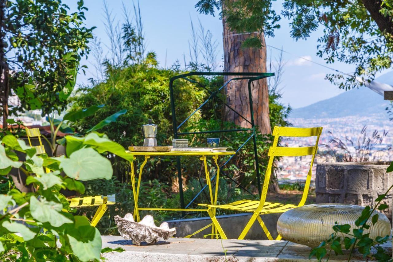 Apartment Romantic Place With Pines, Cats, Stunning View And Parking *