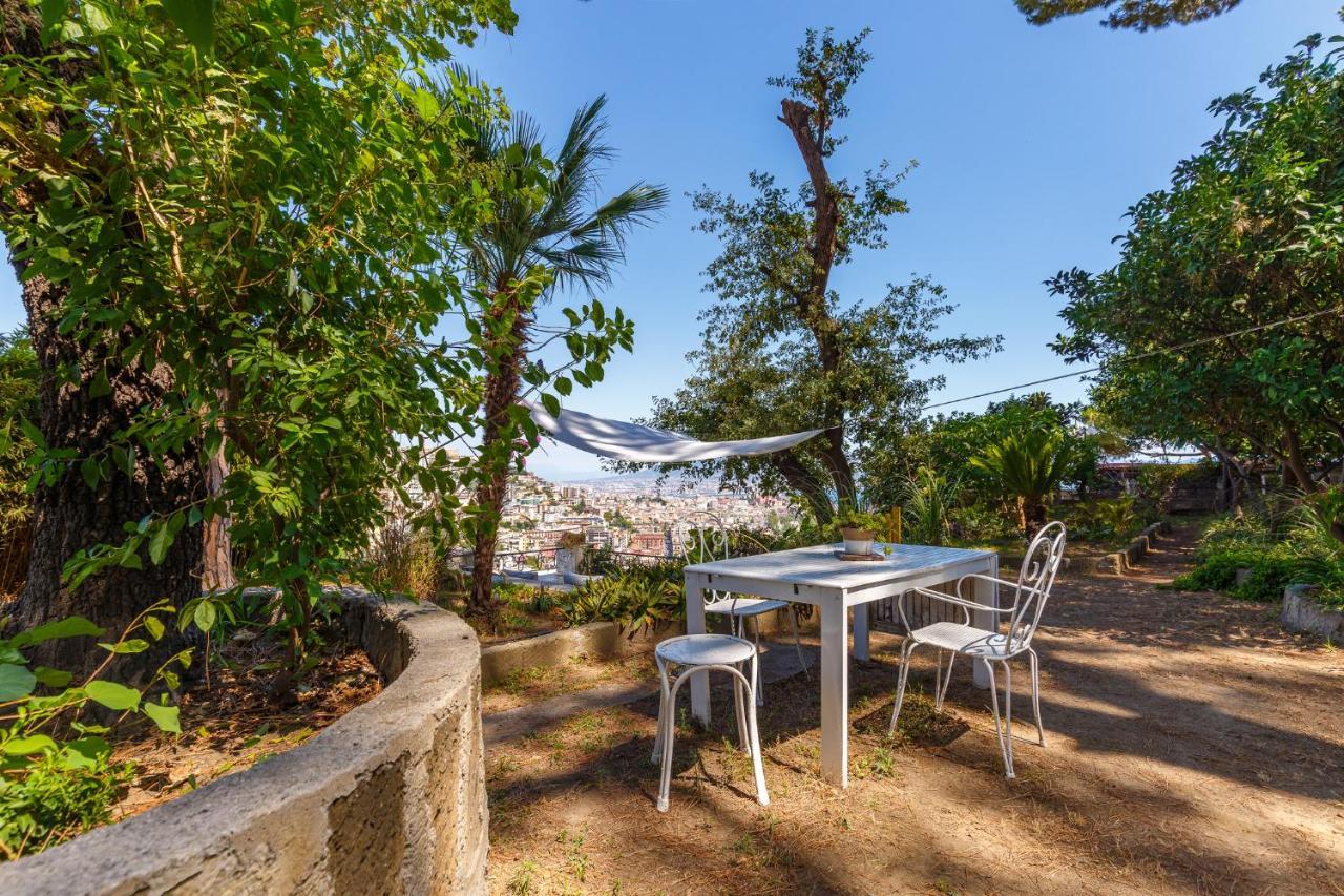Apartment Romantic Place With Pines, Cats, Stunning View And Parking