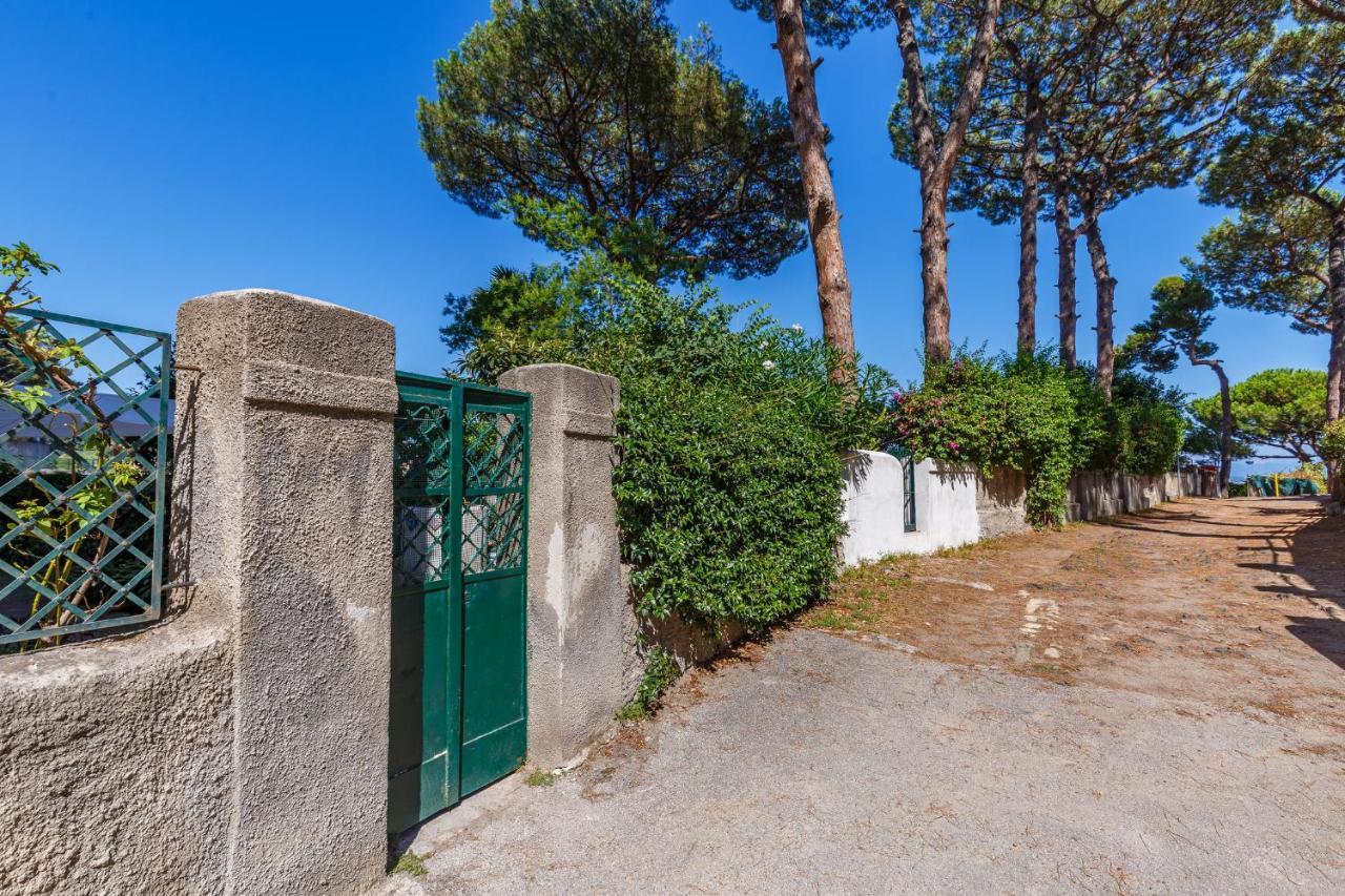 Apartment Romantic Place With Pines, Cats, Stunning View And Parking