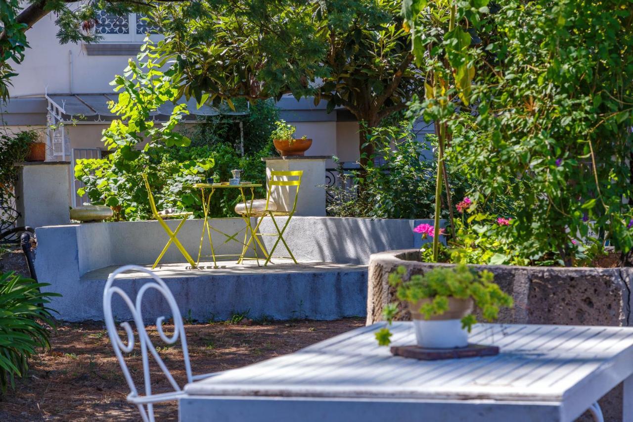 Apartment Romantic Place With Pines, Cats, Stunning View And Parking