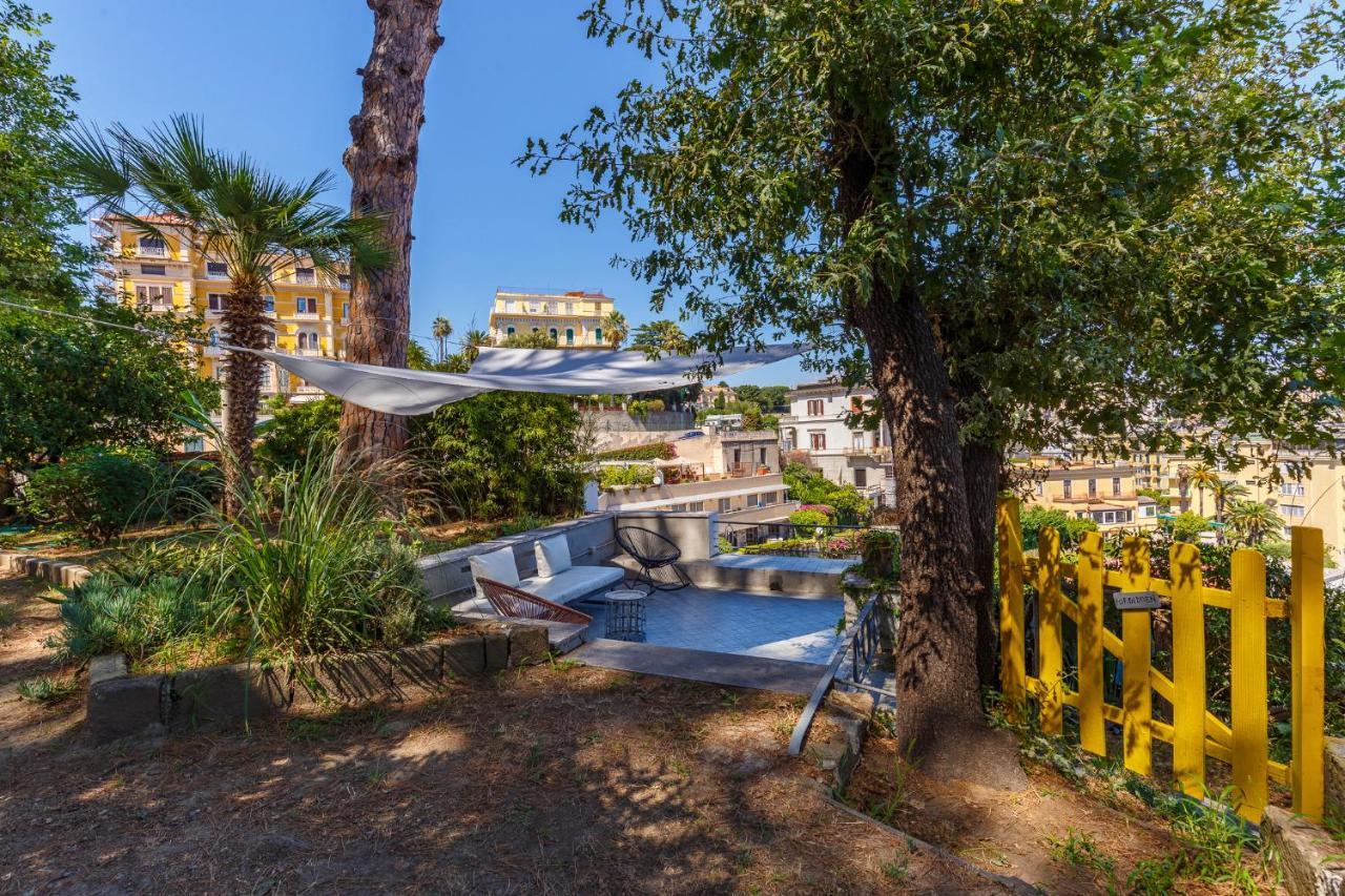 Apartment Romantic Place With Pines, Cats, Stunning View And Parking *
