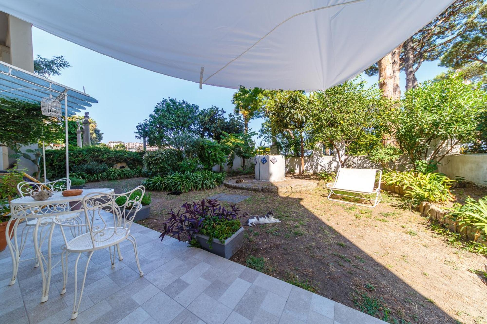 Romantic Place With Pines, Cats, Stunning View And Parking *