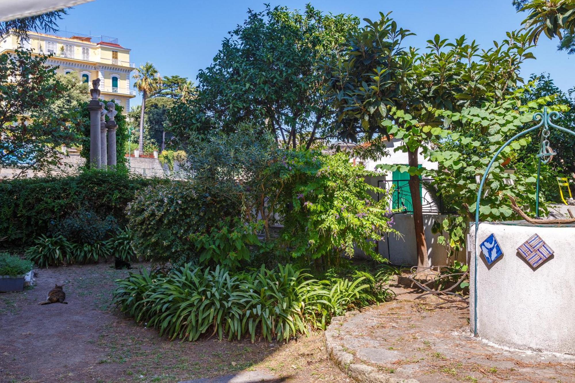 Apartment Romantic Place With Pines, Cats, Stunning View And Parking *