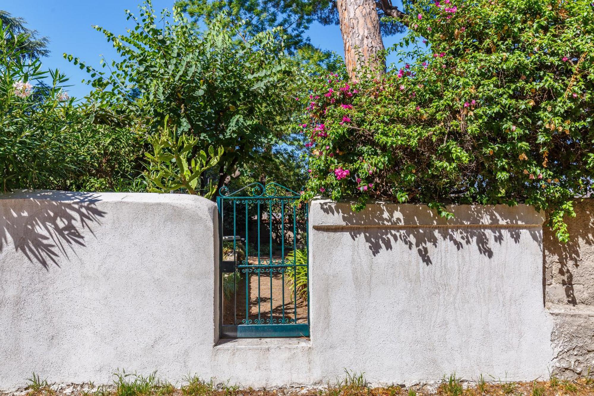 Romantic Place With Pines, Cats, Stunning View And Parking Apartment *