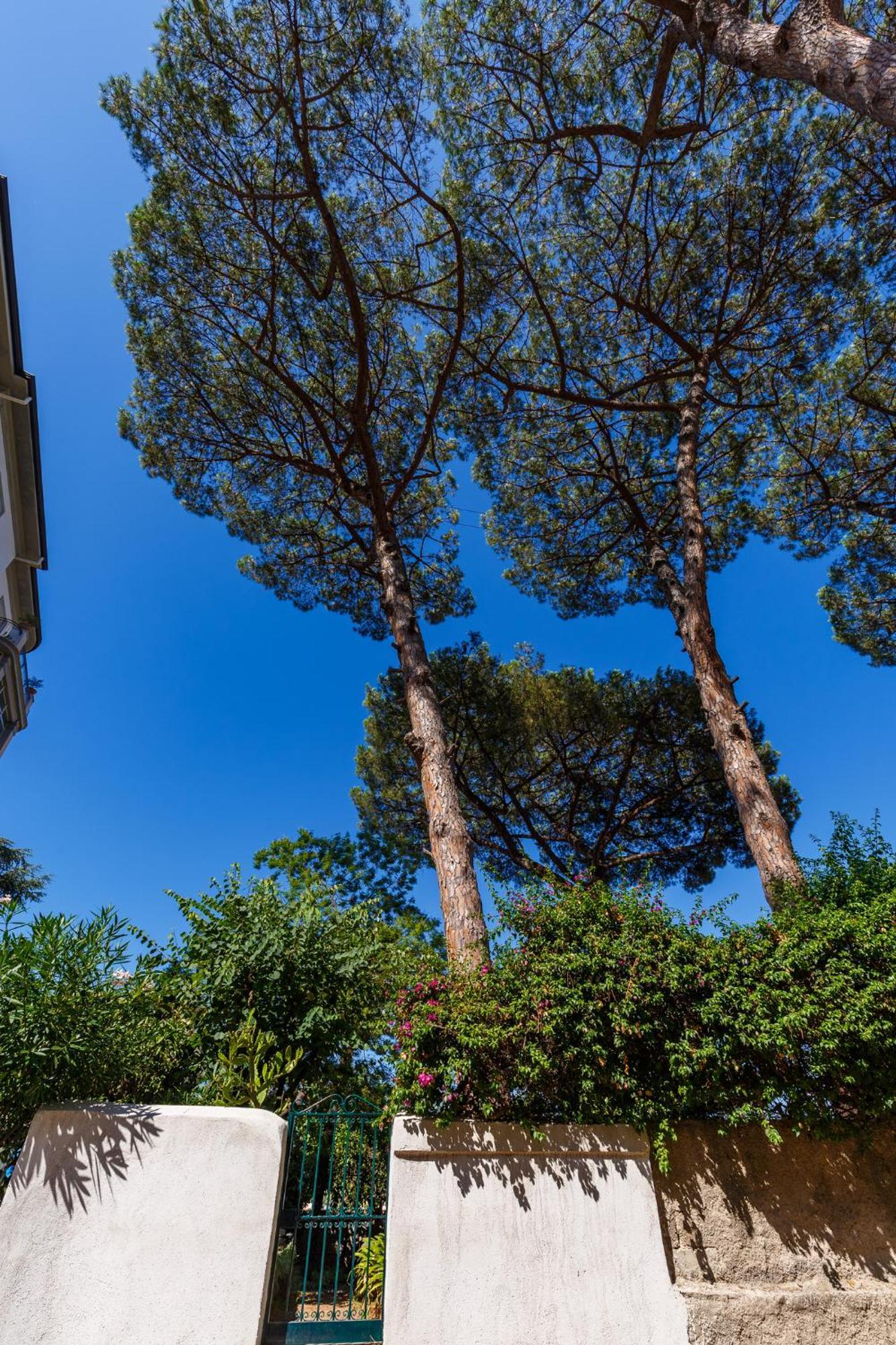 Romantic Place With Pines, Cats, Stunning View And Parking * Naples