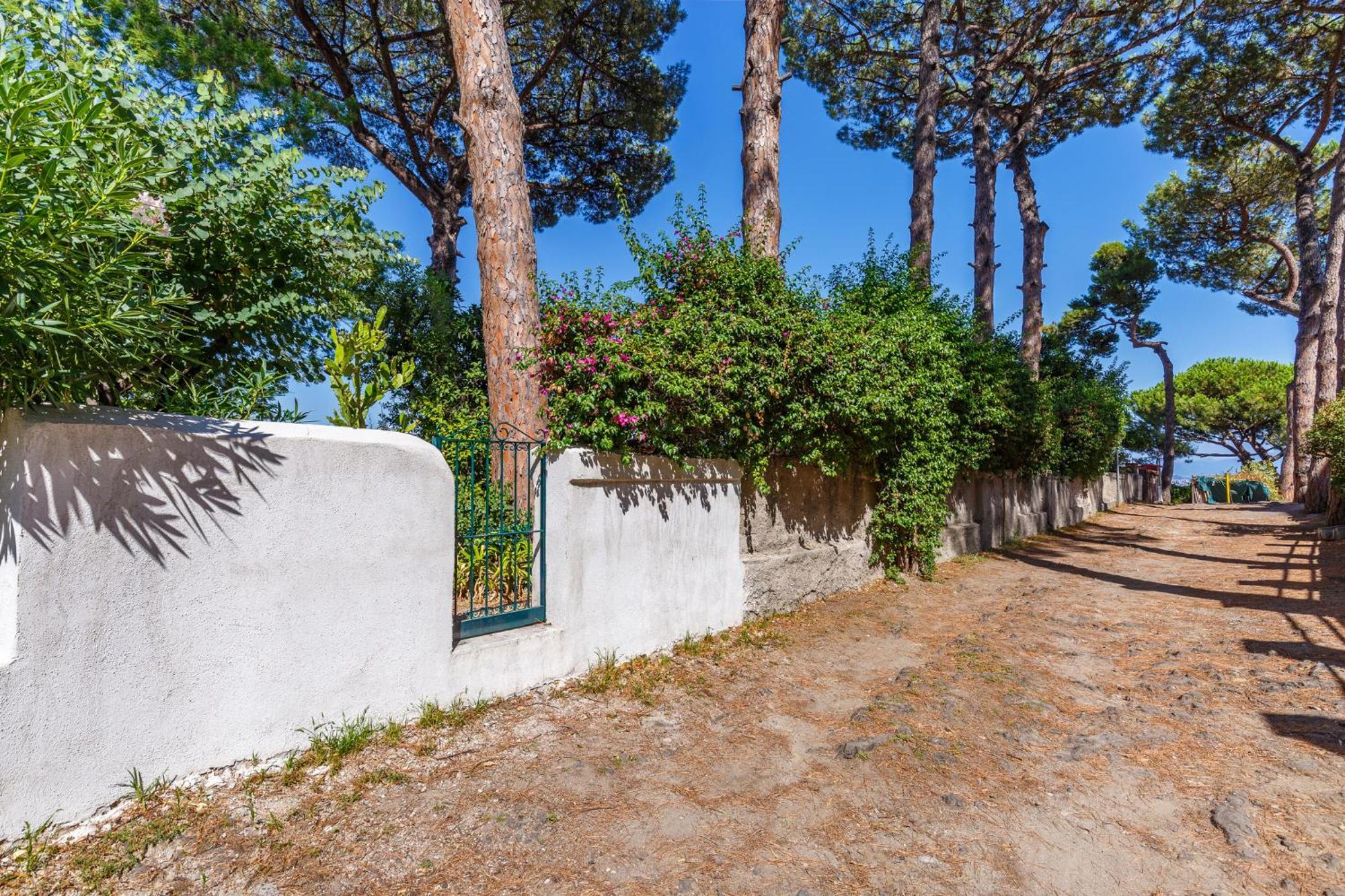 Apartment Romantic Place With Pines, Cats, Stunning View And Parking Naples
