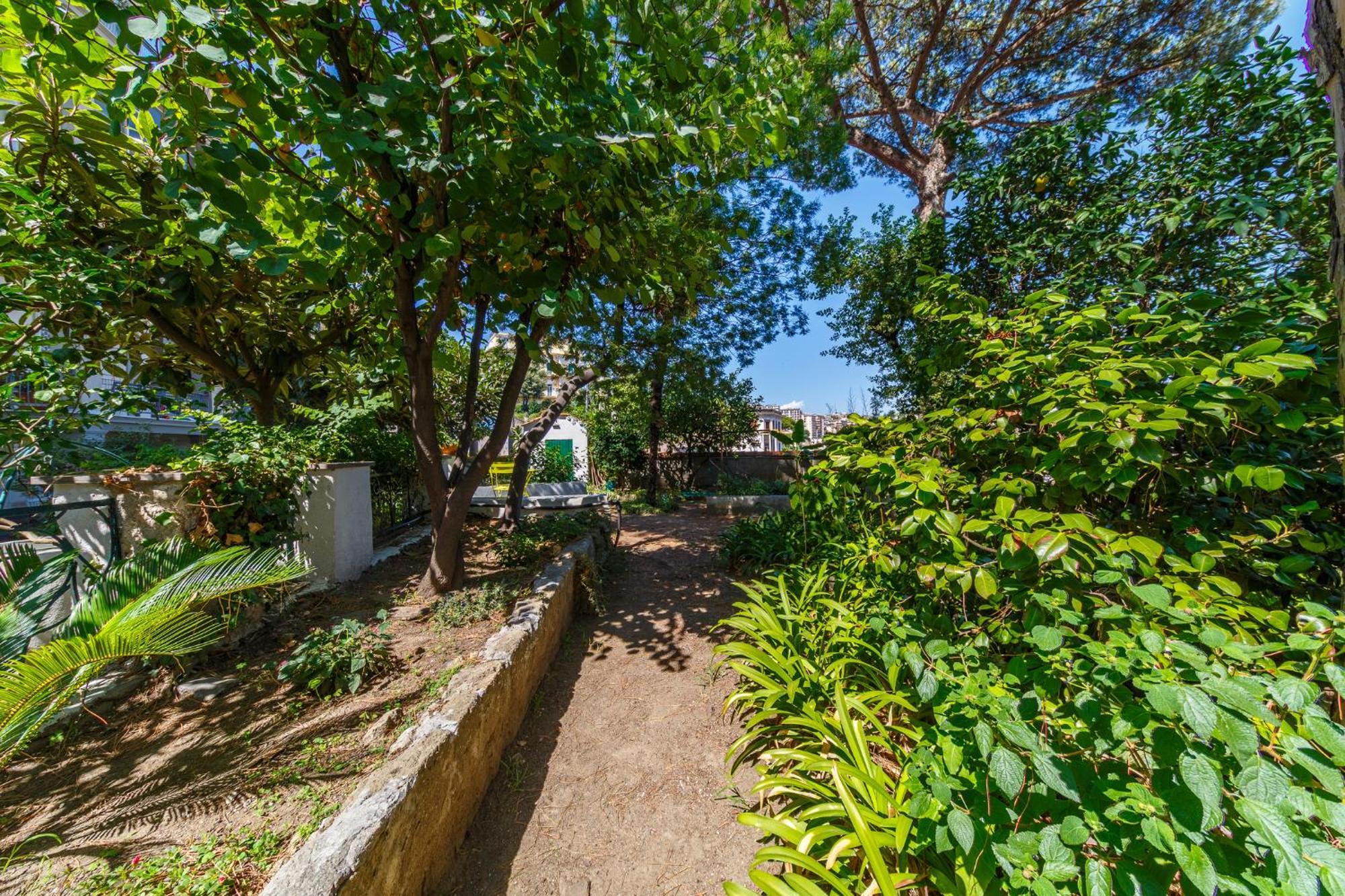 Apartment Romantic Place With Pines, Cats, Stunning View And Parking Naples