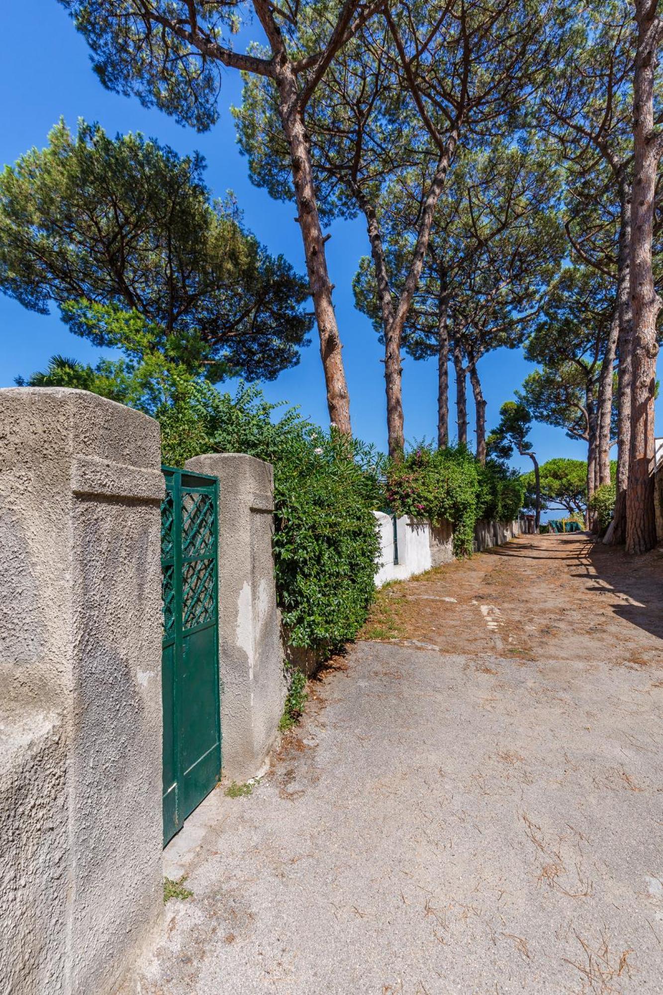 Romantic Place With Pines, Cats, Stunning View And Parking Naples