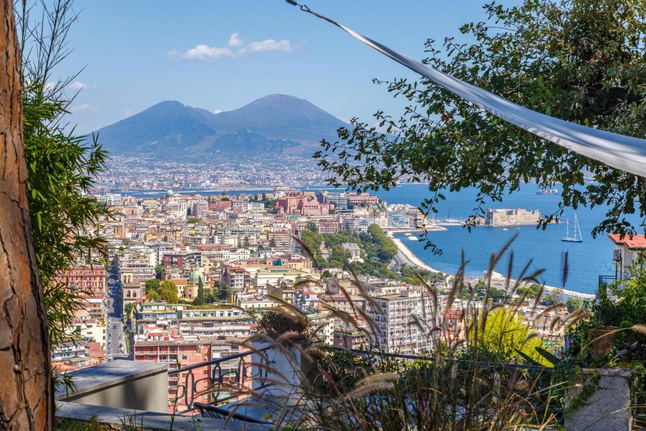 Appartement Romantic Place With Pines, Cats, Stunning View And Parking