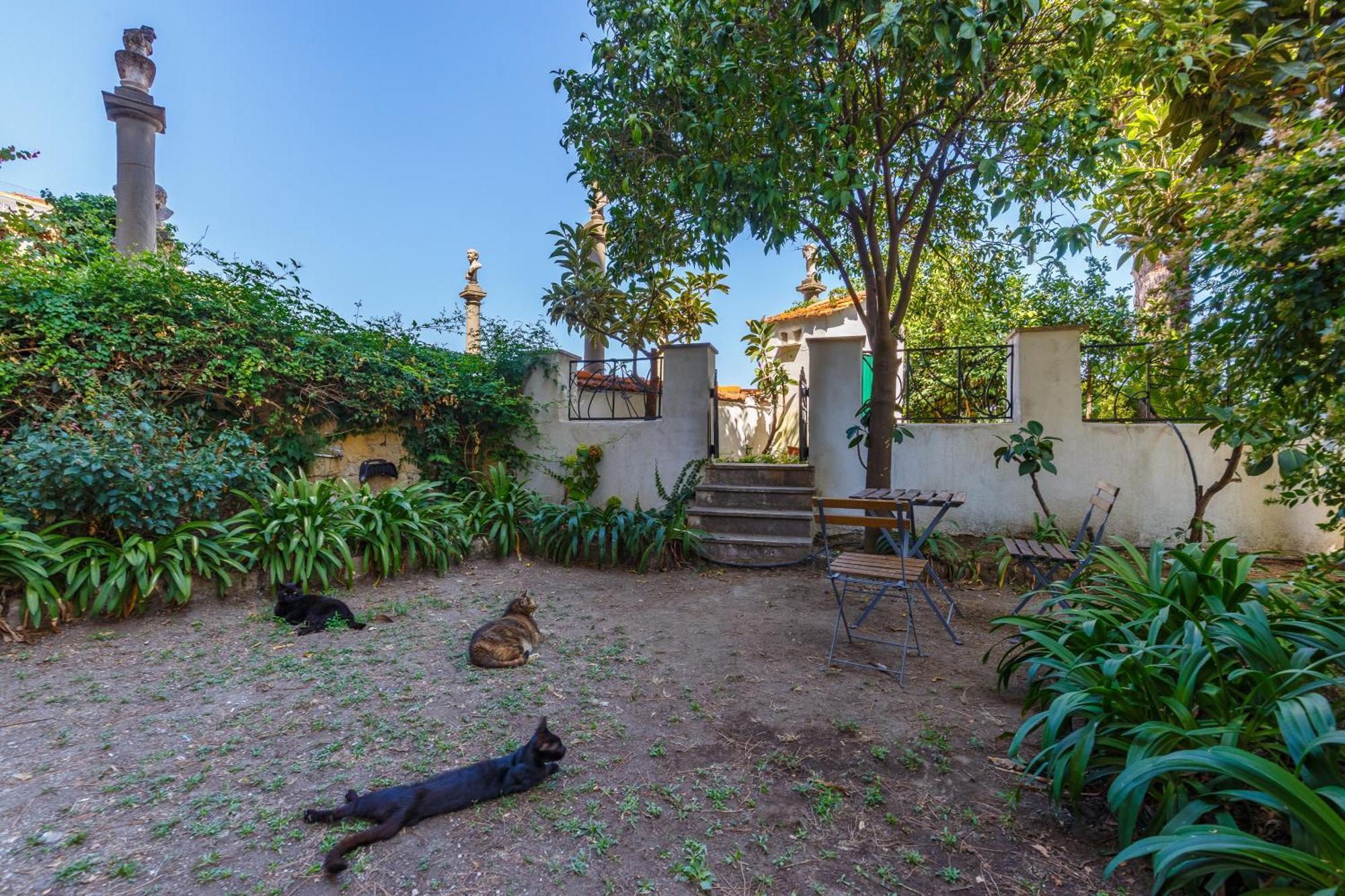 Appartement Romantic Place With Pines, Cats, Stunning View And Parking *